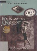 STUDENT STUDY ART NOTEBOOK HUMAN ANAYOMY PHYSIOLOGY SIXTH EDITION 1993 PDF电子版封面 0697227871 JOHN W.HOLE