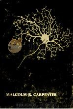 Core text of neuroanatomy（1972 PDF版）