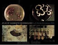 ATLAS OF DIAGNOSTIC MICROBIOLOGY     PDF电子版封面    S.STANLEY SCHNEIERSON 