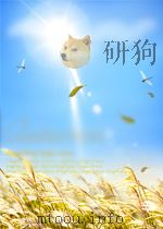 TIGERLAND  AND OTHER UNIVTENDED DESTINATIONS（ PDF版）