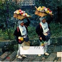 日本の旅  京都/奈良（ PDF版）