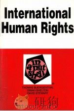 INTERNZTIONAL HUMAN RIGHTS IN A NUTSHELL（1988 PDF版）