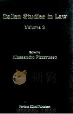 ITALIAN STUDIES IN LAW VOLUME II（1994 PDF版）