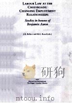 LABOUR LAW AT THE CROSSROADS:CHANGING EMPLOYMENT RELATIONSHIRS 1997 PDF电子版封面 J.R.BELLACE AND M.G.ROOD
