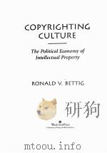 COPYRIGHTING CULTURE  THE POLITICAL ECONOMY OF INTELLECTUAL PROPERTY（1996 PDF版）