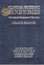 CLINICAL ISCHEMIC SYNDROMES:MECHANISMS AND CONSEQUENCES OF TISSUE INJURY（1990 PDF版）