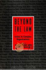 BEYOND THE LAW  CRIME IN COMPLEX ORGANIZATIONS   VOLUME 18（1993 PDF版）