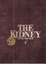 THE KIDNEY  VOLUME 2  FOURTH EDITION（1991 PDF版）