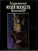 Государственный музей искусств грузинской ССР 1989 PDF电子版封面 Т.Е.Саникидзе