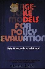 Large-scale models for policy evaluation（1977 PDF版）