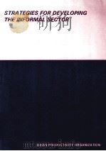 Strategies for Developing the Informal Sector（1995 PDF版）