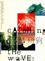 Catching the wave framework for youthentrepreneurship success（1996 PDF版）