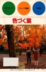 色づく葉 1982.11 PDF电子版封面 松下まり子著