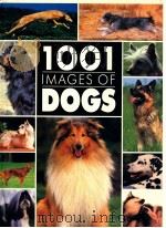 1001 IMAGES OF DOGS（1992 PDF版）
