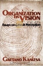 ORGANIZATION IN VISION  ESSAYS ON GESTALT PERCEPTION   1979  PDF电子版封面  0030490715   