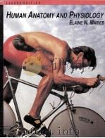 HUMAN ANATOMY AND PHYSIOLOGY  SECOND EDITION（1992 PDF版）