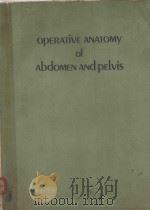 Operative anatomy of abdomen and pelvis 1975 PDF电子版封面 0812104919