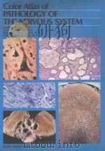 Color atlas of pathology of the nervous system（1980 PDF版）