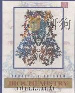BIOCHEMISTRY  SECOND EDITION（1999 PDF版）