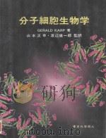 分子細胞生物学（ PDF版）