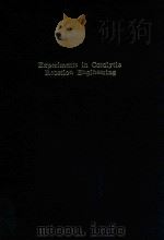 Experiments in catalytic reaction engineering（1999 PDF版）