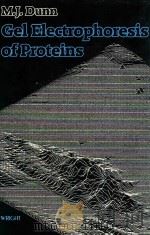 Gel electrophoresis of proteins（1986 PDF版）
