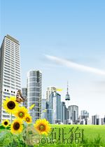 DOING BUSINESS IN THE ASEAN COUNTRIES PDF电子版封面 9781606491089 BHASIN
