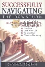 SUCCESSFULLY NAVIGATING THE DOWNTURN（ PDF版）