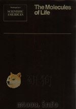 the molecules of life（1985 PDF版）