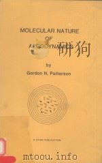 MOLECULAR NATURE OF AERODYNAMICS（1981 PDF版）