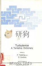 TURBULENCE A TENTATIVE DICTIONARY 1994 PDF电子版封面 0306449986 P.TABELING AND O.CARDOSO