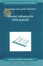 Recent Advances in DNS and LES（1999 PDF版）