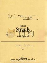 Kaiser-Walzer Op.437 Transkription fur Klavier 01 254（1926 PDF版）
