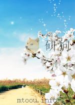SPEAKING AMERISH ENGLISH（ PDF版）