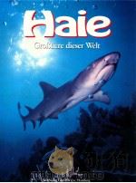 Haie 1990 PDF电子版封面 3921789575