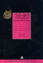 BEYOND THE BERNE CONVENTION CONVENTION（1991 PDF版）