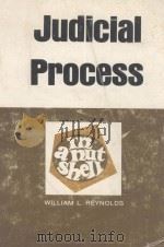 JUDICIAL PROCESS  IN A NUTSHELL（1980 PDF版）