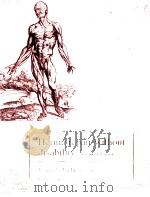 HERNIA REPAIR WITHOUT DISABILITY  SECOND EDITION（1986 PDF版）