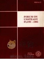 FORUM ON UNSTEADY FLOW-1985（1985 PDF版）