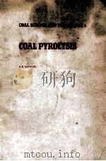 COAL SCIENCE AND TECHNOLOGY 4 COAL COMBUSTION（1982 PDF版）