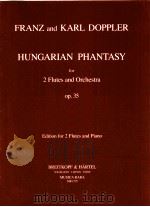 Hunhstisn Phantasy for two Flute and Orchestra Op.35 edition for two flutes and piano musica rara MR 1971 PDF电子版封面