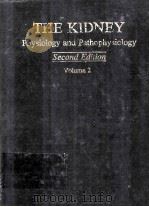 THE KIDNEY PHYSIOLOGY AND PATHOPHYSIOLOGY  SECOND EDITION  VOLUME 2（1992 PDF版）