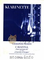 Cavatina 1987 PDF电子版封面
