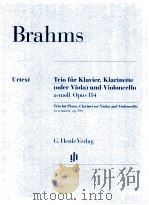 trio forpiano clarinet or viola and violoncello in a minor op.114 322 1979 PDF电子版封面