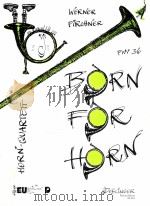 Werner Firchner Born for Horn Horn quintet PWV 36 06 616 1989 PDF电子版封面