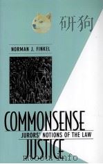 COMMONSENSE JUSTICE  JURORS' NOTIONS OF THE LAW（1995 PDF版）