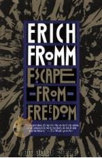 ESCAPE FROM FREEDOM（1969 PDF版）