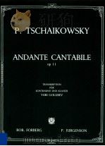 Andante Cantabile op 11 Transkription für Kontrabass und Klavier 1994 PDF电子版封面