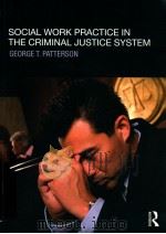 social work practice in the criminal justice system（ PDF版）