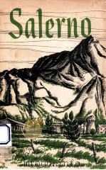 SALERNO AMERICAN OPERATIONS FROM THE BEACHES TO THE VOLTURNO (9 SEPTEMBER-6 OCTOBER 1943)（1943 PDF版）